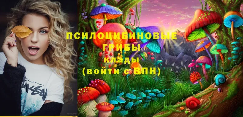 Псилоцибиновые грибы Cubensis  как найти наркотики  сайты даркнета состав  Нарткала 